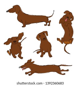 Collection of isolated Dachshund dog icons. Funny cartoon dog character set.