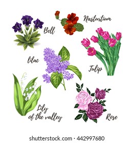 Collection of isolated different flowers: tulips, roses, lily of the valley, lilac, nasturtium, bells. Vector illustration.