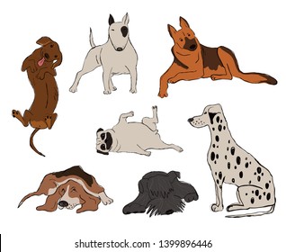 Collection of isolated dog breeds icons. Dalmatian Dog, Basset Hound, Pug, Miniature Schnauzer, Bull Terrier, Dachshund, Shepherd. Funny cartoon dog character set.