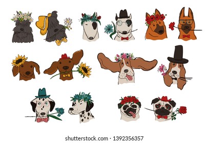 Collection of isolated dog portraits with floral wreath and holding flowers. Funny hipster dog couples for wedding invitations, t-shirt design, greeting cards, stickers or posters.