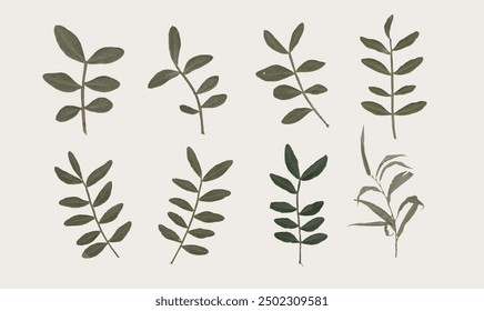 collection of isolated dried pressed flower and leaf illustrations on transparent background