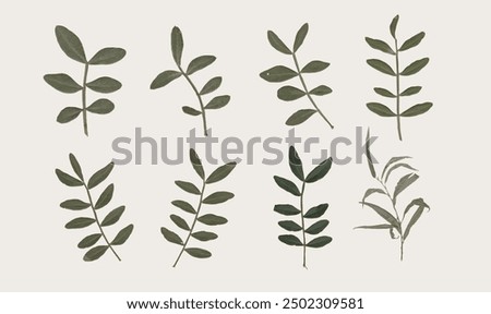 collection of isolated dried pressed flower and leaf illustrations on transparent background