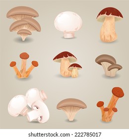 Collection of isolated edible mushrooms for your design