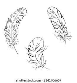 Collection Isolated Feathers Stencil Tattoo Black Stock Vector (Royalty ...