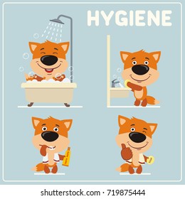 Collection isolated of fox in cartoon style for rules of child hygiene: showering, washing hands, brushing teeth.