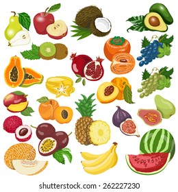 Collection of isolated fruits on white background. Vector illustration for your design