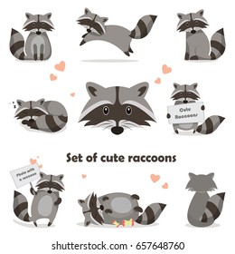 Collection isolated funny raccoon. Emotion little raccoon. Vector set cute raccoon. Cartoon raccoon in children style.