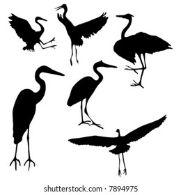 Collection of isolated Great Blue Heron silhouette designs in AI-EPS8 format.