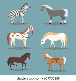 Collection of isolated horses. Cute cartoon horse farm animals. Differend breads