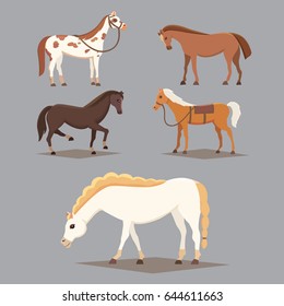 Collection of isolated horses. Cute cartoon horse farm animals. Differend breads