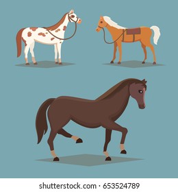 Collection of isolated horses. Cute cartoon horse farm animals. Different breads