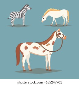 Collection of isolated horses. Cute cartoon horse farm animals. Differend breads