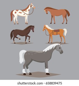 Collection of isolated horses. Cute cartoon horse farm animals. Differend breads