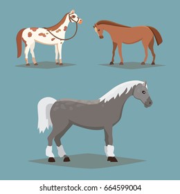 Collection of isolated horses. Cute cartoon horse farm animals. Differend breads