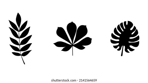 Collection of isolated leaf silhouettes. Vector icons.