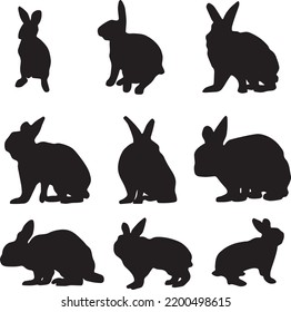 Colección de siluetas de conejos aislados