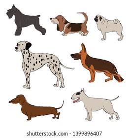 Collection of isolated standing dog breeds icons. Dalmatian Dog, Basset Hound, Pug, Miniature Schnauzer, Bull Terrier, Dachshund, Shepherd. Funny cartoon dog character set.