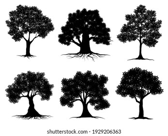 collection isolated tree Symbol silhouette style on white background. Can be used for your work.