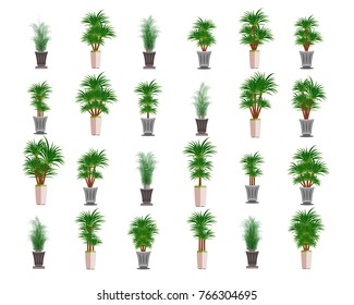 The collection isolated tree vector , beautiful ornamental plants for the garden and home , Green foliage in pots with gray.