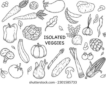 A collection of isolated vegetables with black outlines