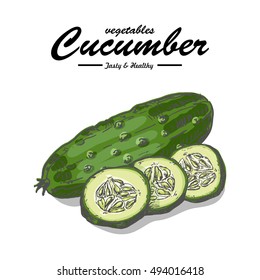 Collection of isolated vegetables. Cucumber. Vector illustration for your design