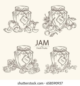 Collection of  jar of jam with cherry, apricot, jam with strawberry and jam with blueberries. Vector hand drawn illustration.