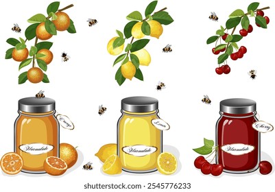 Colección de tarros con mermelada. Ilustración vectorial con frutas y tarros de mermelada.