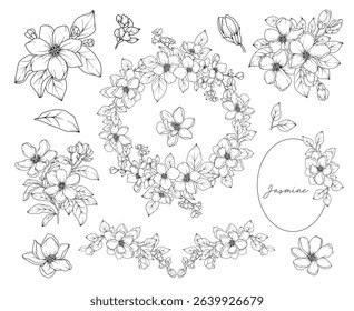 Collection of Jasmine flowers and decorative frames, hand drawn botanical line drawing, vector floral line art illustration for wedding, logo, advertising, packaging