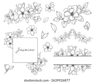 Collection of Jasmine flowers and decorative frames, hand drawn botanical line drawing, vector floral line art illustration for wedding, logo, advertising, packaging