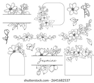 Collection of Jasmine flowers and decorative frames, hand drawn botanical line drawing, vector floral line art illustration for wedding, logo, advertising, packaging