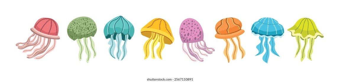 Collection of jellyfish illustration. Jellyfish clip art. Clolorful jellyfish. Medusa animal. Medusa creatures. Octopus. Underwater creatures. Undersea animal.