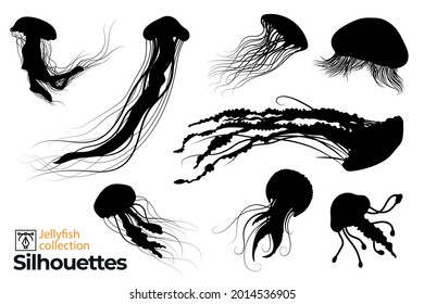 Collection of jellyfish silhouettes in different poses in the sea.