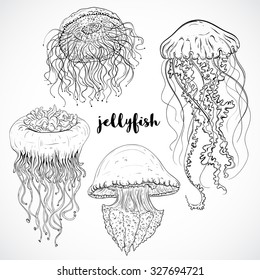 Collection of jellyfish. Vintage set of black and white hand drawn marine fauna. Isolated vector illustration in line art style.Design for summer beach, decorations.