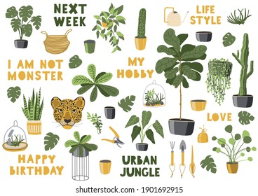 Collection jungle home. Text and elements. Urban jungle. life style.Hobbies and trendy home decor with plants, tropical leaves, cacti. Green plants. Jungle style home.Vector illustration.