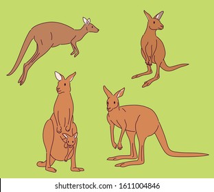 Collection of kangaroo characters in various poses. hand drawn style vector design illustrations. 