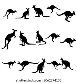 Collection of Kangaroo Silhoutte. Very detailed Kangaroo Silhoutte. Australian endemic animal