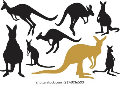Collection of Kangaroo Vector. Kangaroo Illustration on the white background.