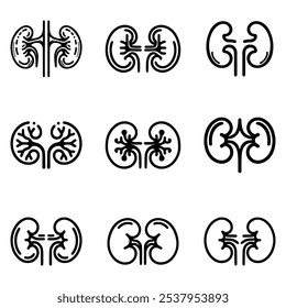 Collection of Kidney icon vector symbol
