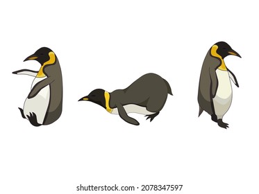 Collection of King penguins in Cartoon design style, colony of Emperor penguins on white isolated background for prints, icons, stickers, patterns, icons for social media, apps and websites.