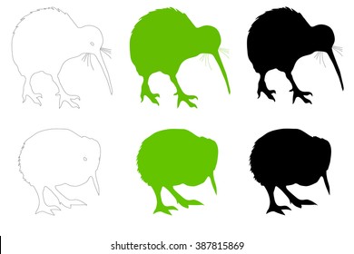 A collection of Kiwi birds (adult & baby) illustrations.  Ideal for web site, tourism brochure or educational teaching purposes.