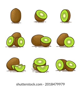 Collection of kiwi fruit vector illustration