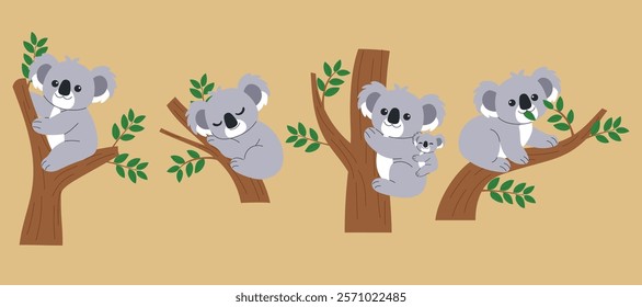 collection of Koala Cartoon Character on the Branch, Sitting, Sleeping, Mother with Koala Baby and Eating Leaf illustration