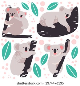 A collection of koalas isolated on a background. Colorful flat vector illustration.