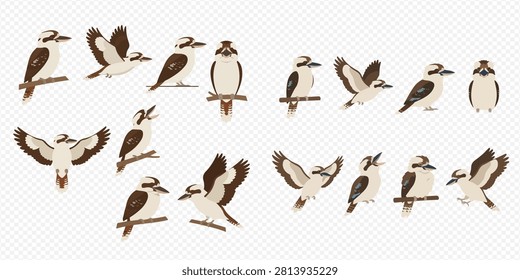 A collection of kookaburra illustrations in various poses, showcasing different angles and actions of the Australian bird.