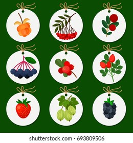 Collection of labels with different berries