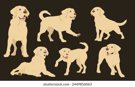 Collection of Labrador Retriever Vector Illustrations