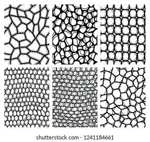 Collection of lace seamless backgrounds. Vector illustration