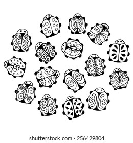 Collection of ladybirds