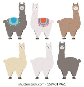 collection of lama with a colorful blanket