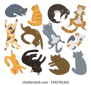 A collection of lazy cute cats. Bundle of sleeping, lying, sitting pets. Flat illustration.